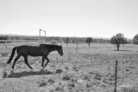 11 Qualitary Rd, Merungle Hill, NSW 2705