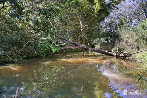 Property photo of 331 Highlands Road Eudlo QLD 4554