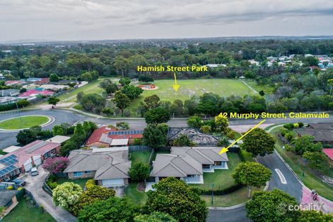 Property photo of 42 Murphy Street Calamvale QLD 4116