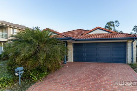 Property photo of 17 Rachele Close Forest Lake QLD 4078