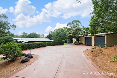 Property photo of 54 Bolwarra Park Drive Bolwarra Heights NSW 2320