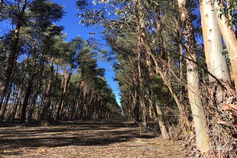 Property photo of 89 Yungup Road Napier WA 6330