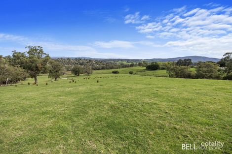56 Allsops Rd, Woori Yallock, VIC 3139