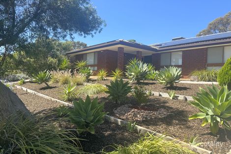 19 Barlow Ct, St Agnes, SA 5097