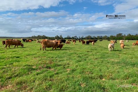 Lot 12 Wooli Rd, Tucabia, NSW 2462