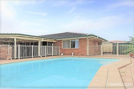 Property photo of 15 Allira Crescent Carseldine QLD 4034