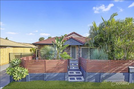 Property photo of 14 Laguna Circuit Tingalpa QLD 4173