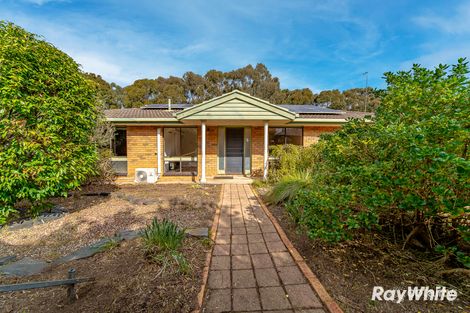 Property photo of 80 Gill Avenue California Gully VIC 3556