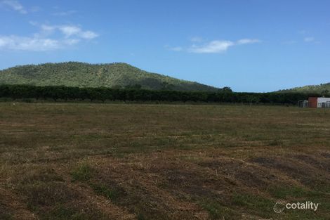 1 Colwell Ct, Alligator Creek, QLD 4816