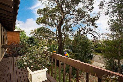 Property photo of 20 Geneva Place Engadine NSW 2233