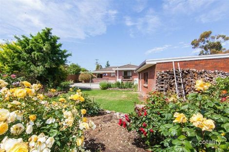 47 Alma St, Youngtown, TAS 7249