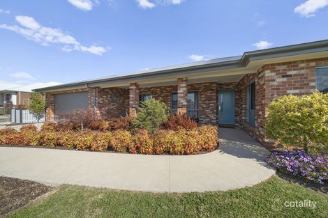Property photo of 16 Maple Tree Boulevard Mansfield VIC 3722