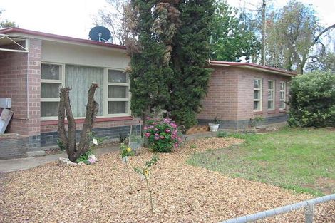 Property photo of 8 McGregor Street Berri SA 5343
