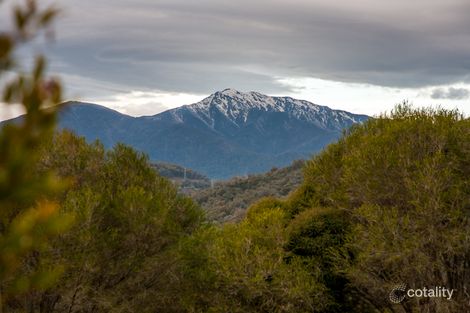 Property photo of 272 Simmonds Creek Road Tawonga South VIC 3698