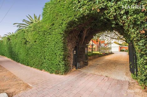 Property photo of 20 Galway Grove Tranmere SA 5073