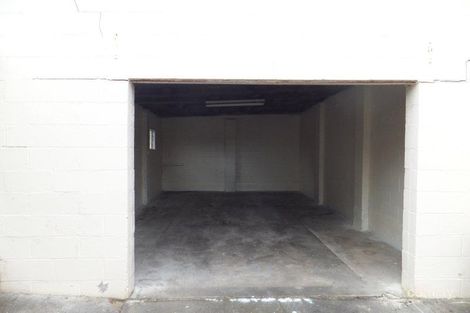 Property photo of 17 White Avenue Hamilton VIC 3300