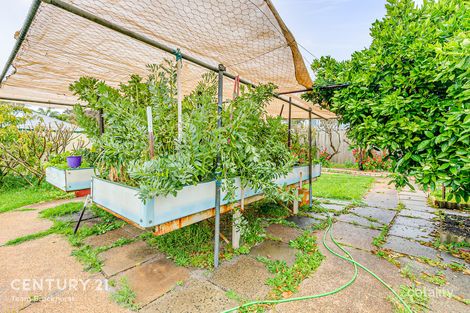 Property photo of 223 Eudoria Street Gosnells WA 6110