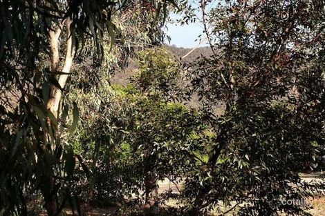 Property photo of 14 Moorhouse Street Melrose SA 5483