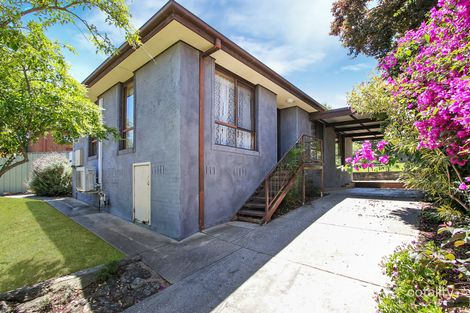 336 Schubach St, East Albury, NSW 2640