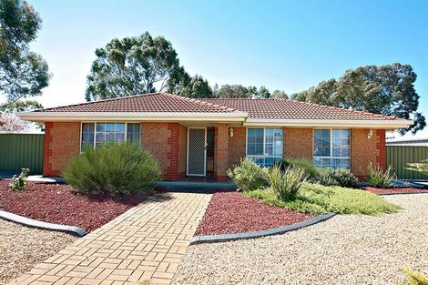Property photo of 7 Higgins Road Angle Vale SA 5117