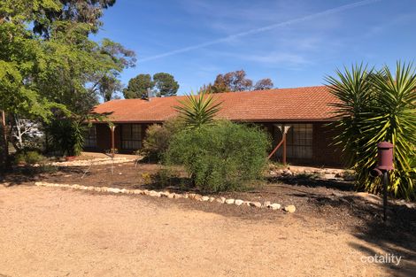 Property photo of 12 Westbrook Avenue Loxton SA 5333