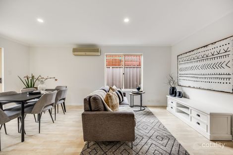 Property photo of 41 McInerney Avenue Mitchell Park SA 5043