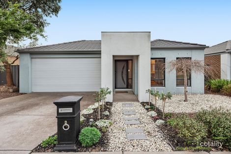 Property photo of 6 Arbour Street Mernda VIC 3754