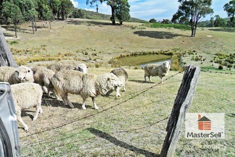 Lot 25 Ernies Way, Green Hills, NSW 2730