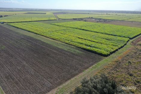 Property photo of Whittingtons Road Bundaberg North QLD 4670