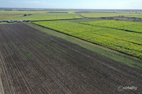 Property photo of Whittingtons Road Bundaberg North QLD 4670