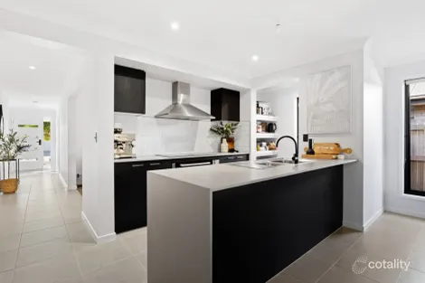 Property photo of 19 Silverleaf Street Palmview QLD 4553