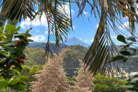 Property photo of 6 Caitlin Place Bli Bli QLD 4560