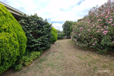 Property photo of 53 Illawarra Crescent Dandenong North VIC 3175