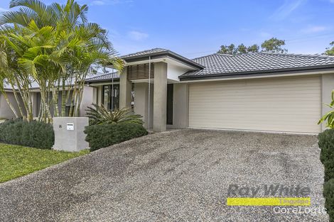 Property photo of 16 Rymera Crescent Gumdale QLD 4154