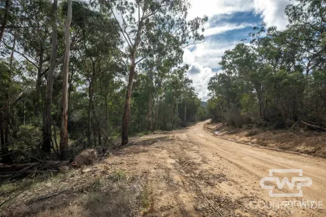Property photo of 10 Tablelands Road Red Range NSW 2370
