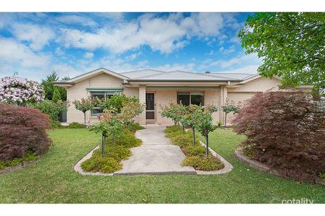 19 Robbins Dr, East Albury, NSW 2640
