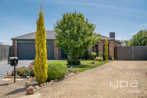 Property photo of 12 Egan Court Riddells Creek VIC 3431