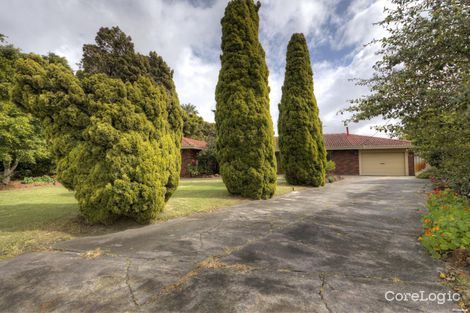 Property photo of 19 Larix Way Forrestfield WA 6058