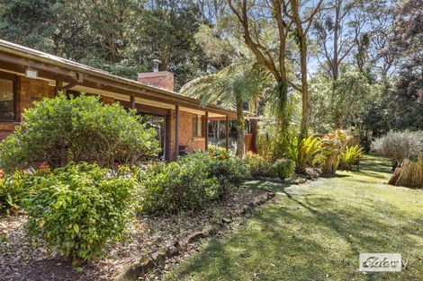 Property photo of 39 Williams Road Saddleback Mountain NSW 2533