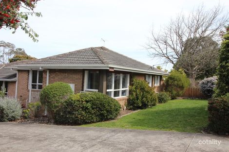 1/23 Mccubbin St, Burwood, VIC 3125