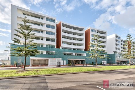 101/25 Honeysuckle Dr, Newcastle, NSW 2300