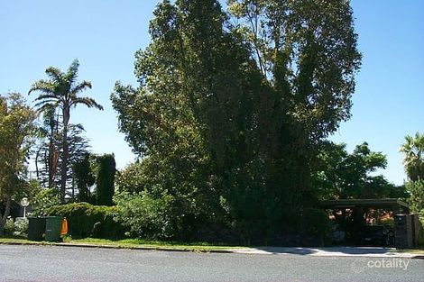 14 Baldwin Ave, Mount Pleasant, WA 6153