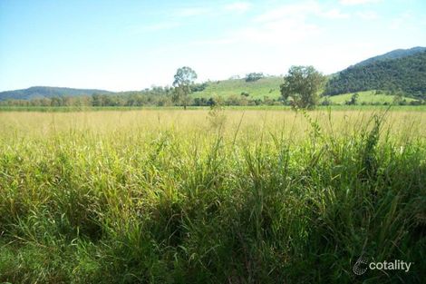 Property photo of 122 Patullo Road Gregory River QLD 4800