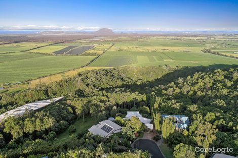 Property photo of 11 Caladenia Court Maroochy River QLD 4561