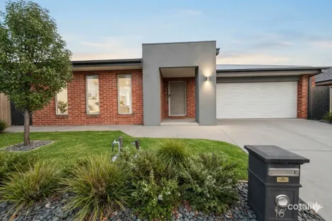 Property photo of 16 Celadon Street Epping VIC 3076