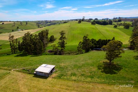 141 Sledge Trk, West Scottsdale, TAS 7260