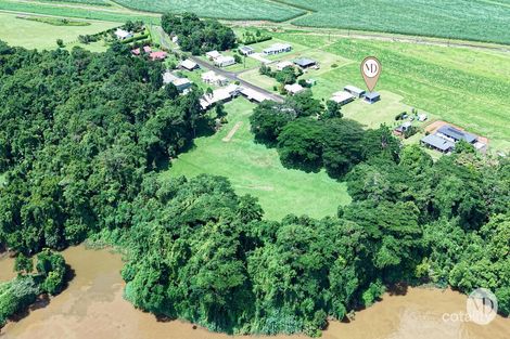 Property photo of 79 McAvoy Street Daradgee QLD 4860