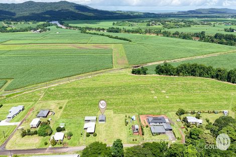 Property photo of 79 McAvoy Street Daradgee QLD 4860