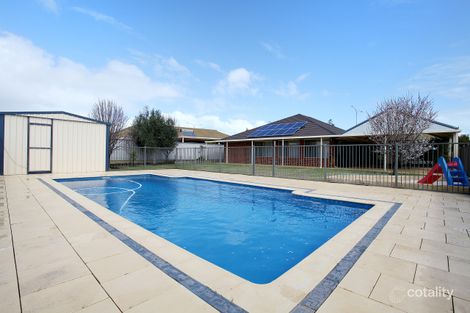 Property photo of 9 Ghost Gum Boulevard Banksia Grove WA 6031