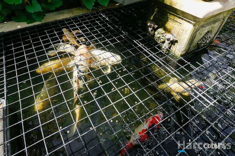 Property photo of 35 Leece Street Coolbellup WA 6163